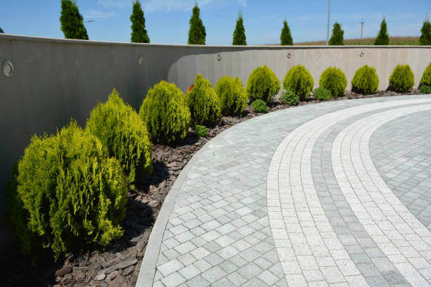 Reasons to Select Us for Your Driveway Paving Requirements in Calcium, NY